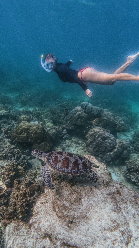 Snorkler / Free diver encountering a turtle underwater on Paradise Beach, El Nido, Palawan, Philippines